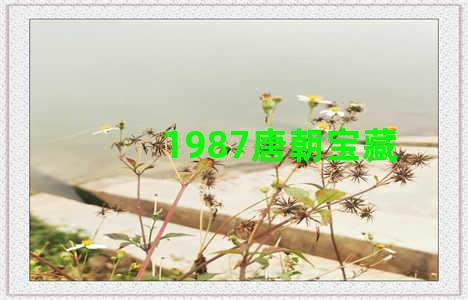 1987唐朝宝藏