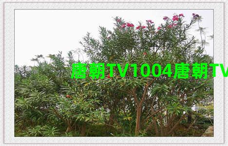 唐朝TV1004唐朝TV