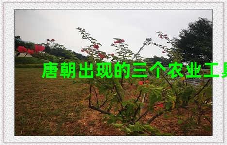 唐朝出现的三个农业工具